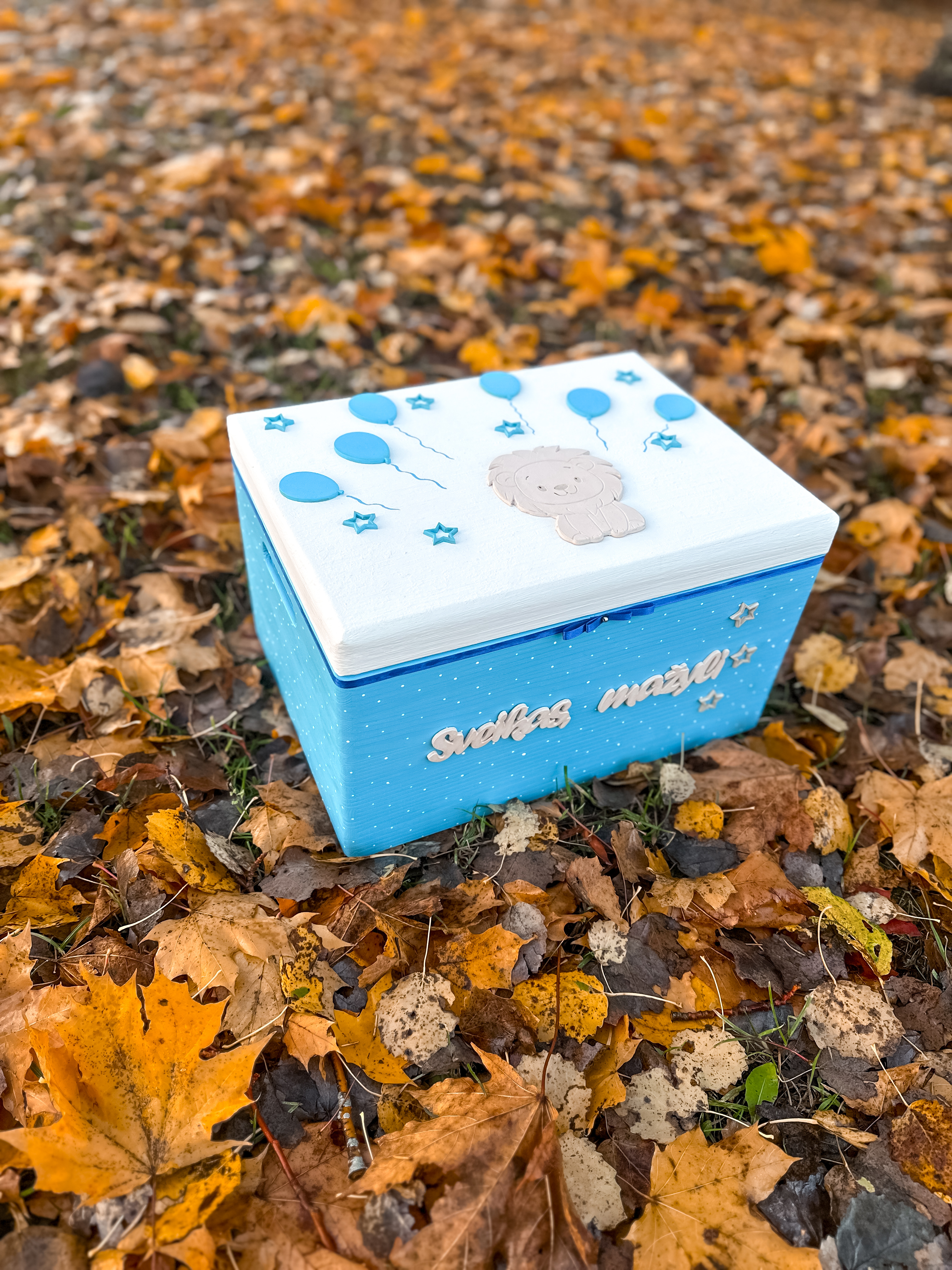 Prisiminimų dėžutė “Sveikas, mažyli”