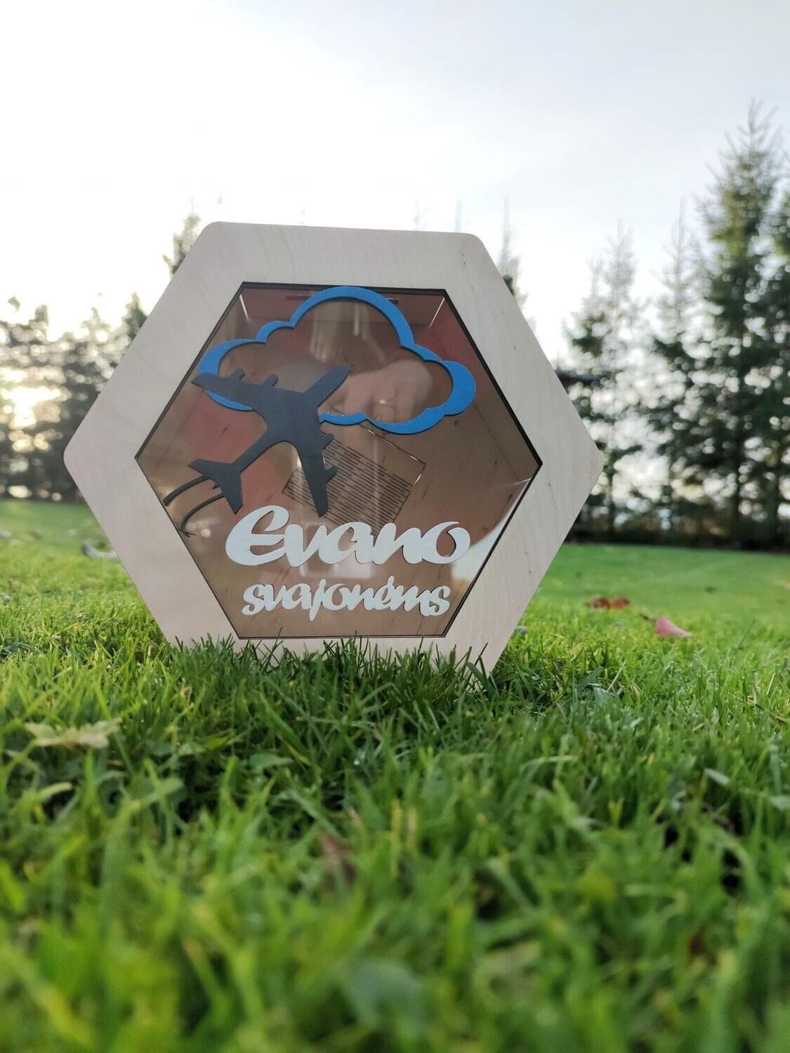 Taupyklė svajonėms