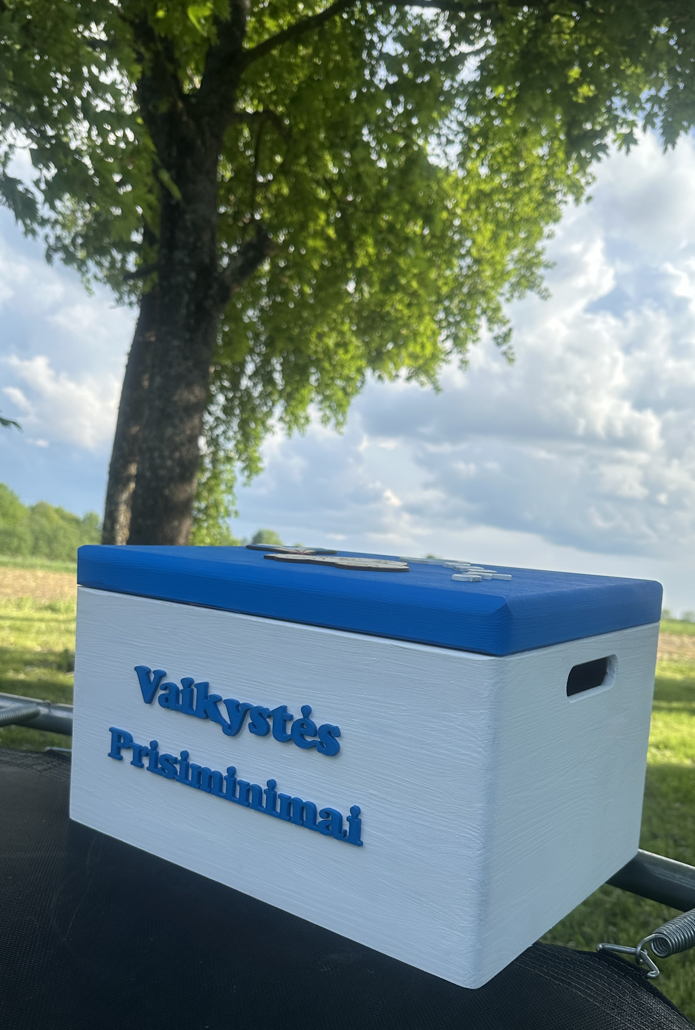 Vaikystės prisiminimų dėžutė