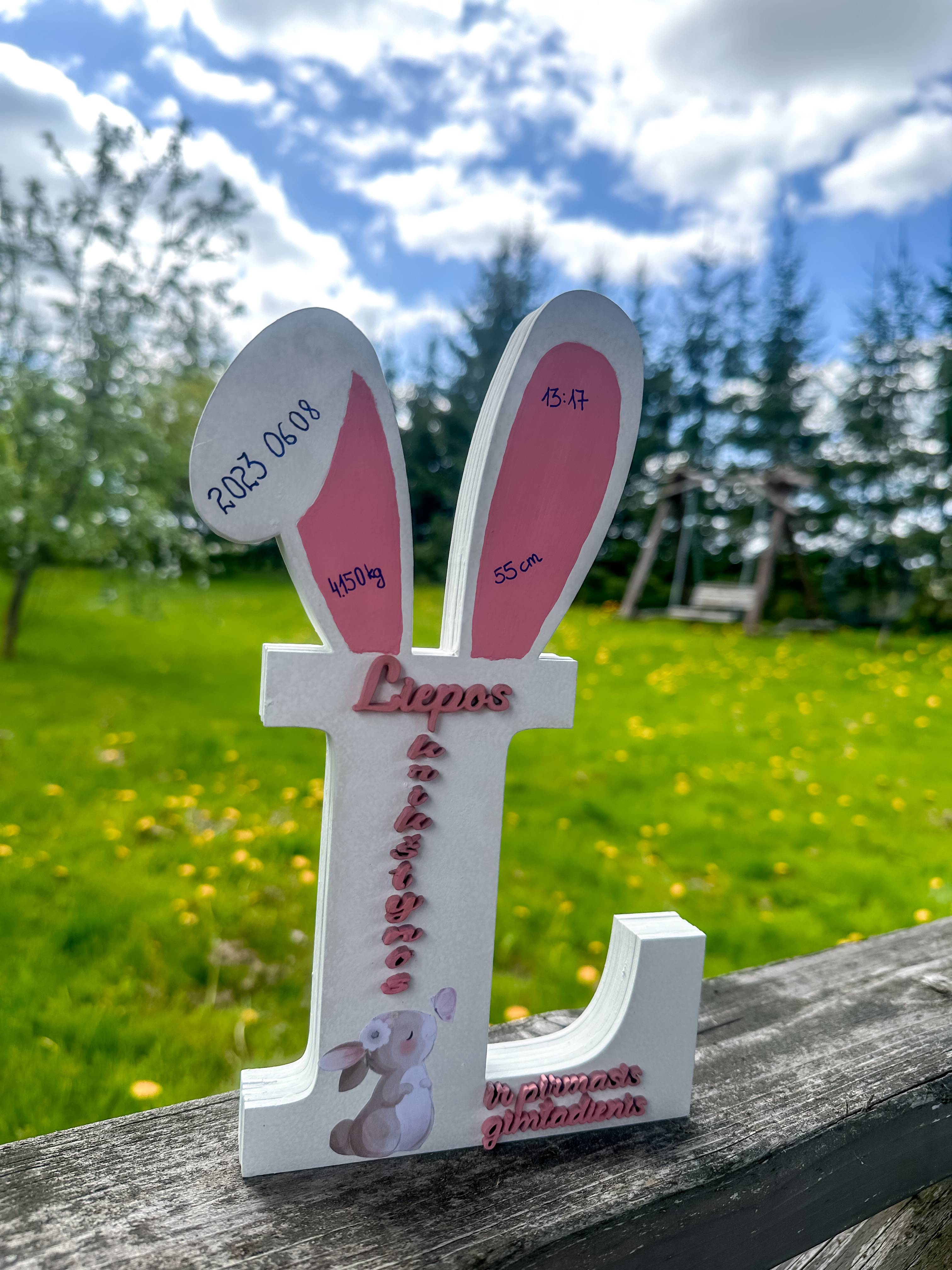 Gimimo metrikas “Raidė”