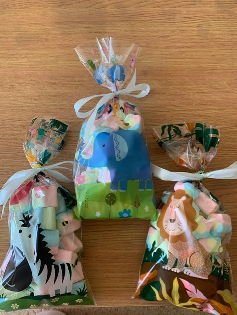 💚Jungle Animal Treat Bag🧡