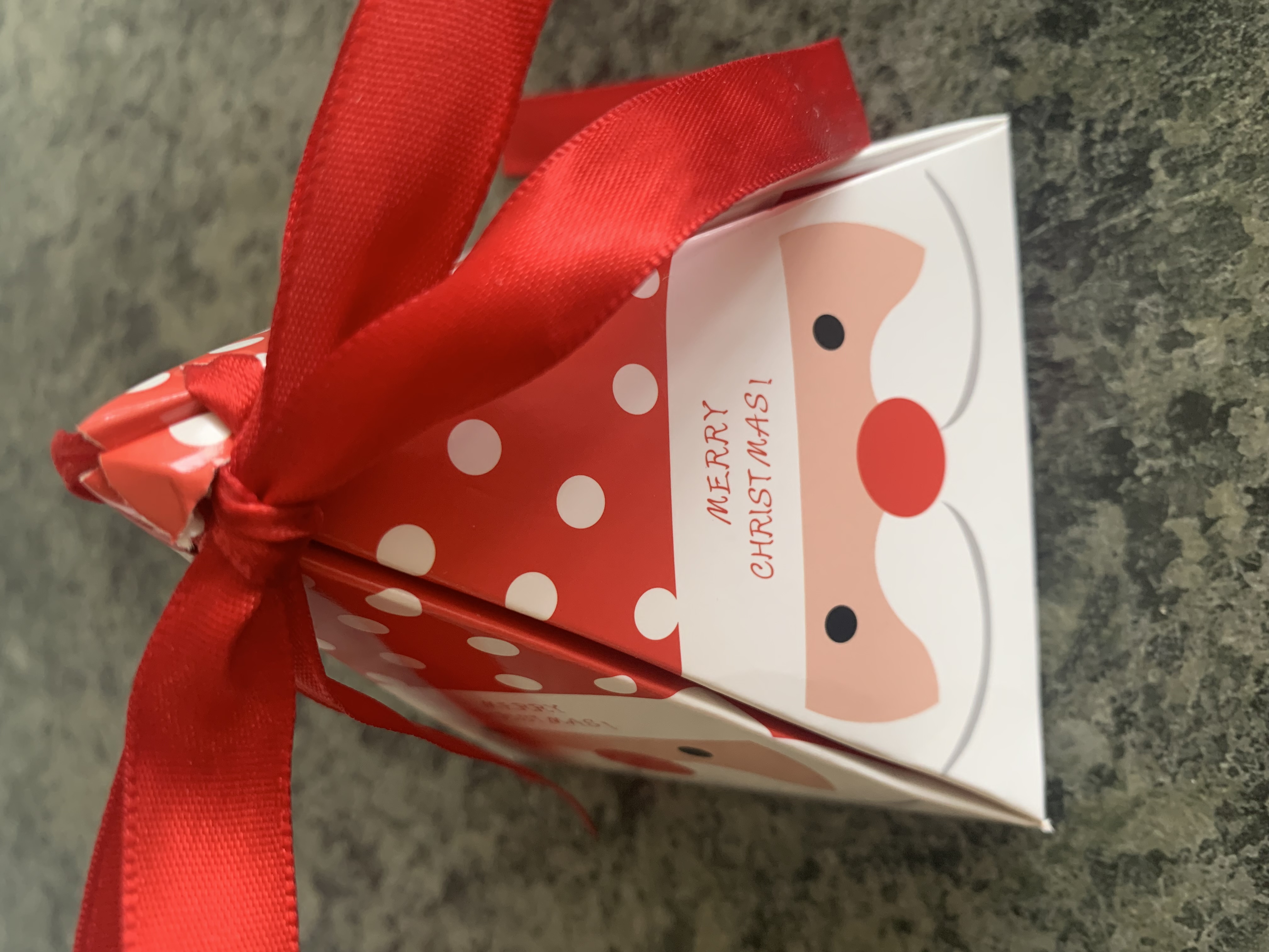Cute Santa favour boxes
