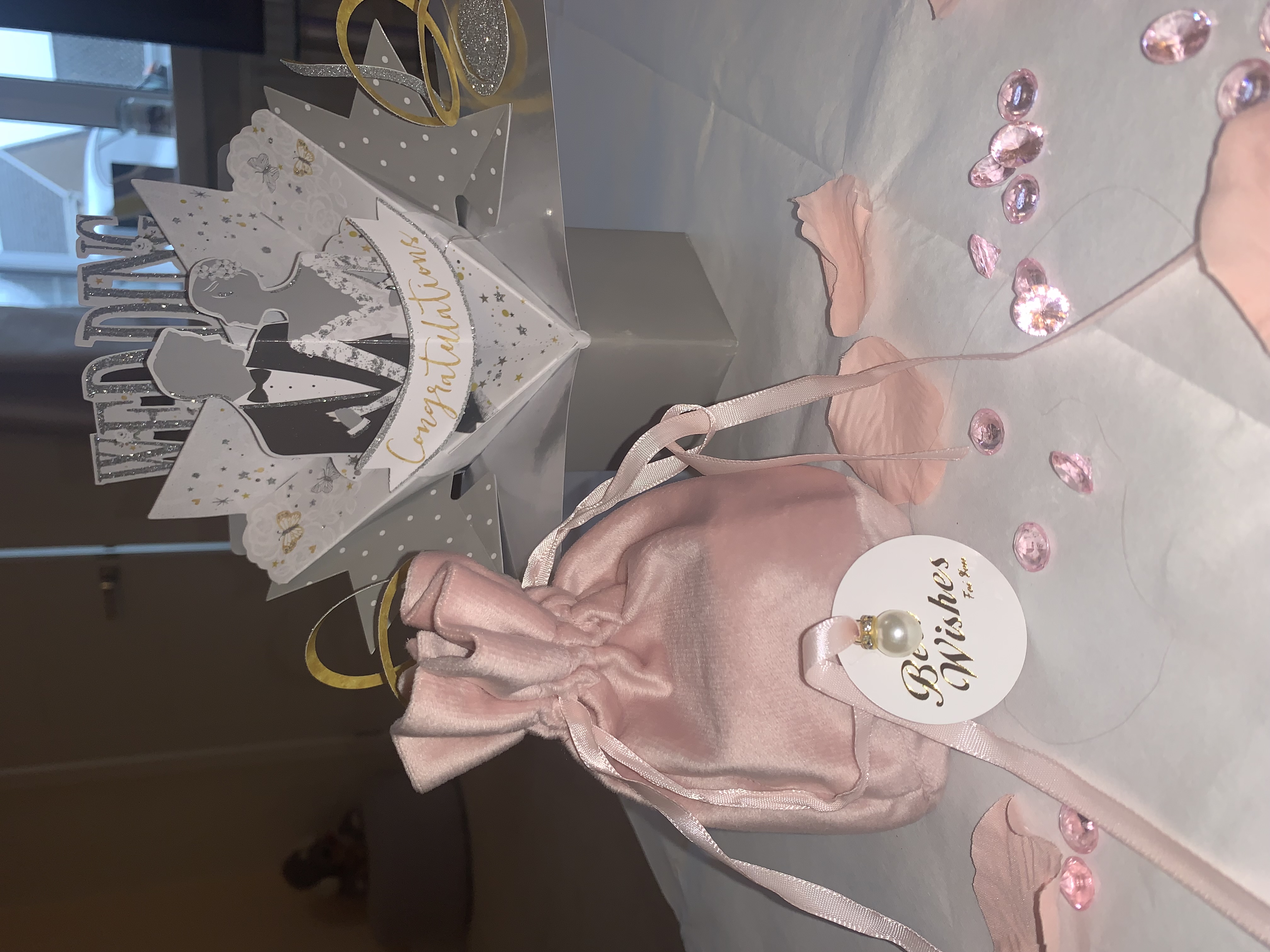 🩷Blush Pink Velvet Bag🩷