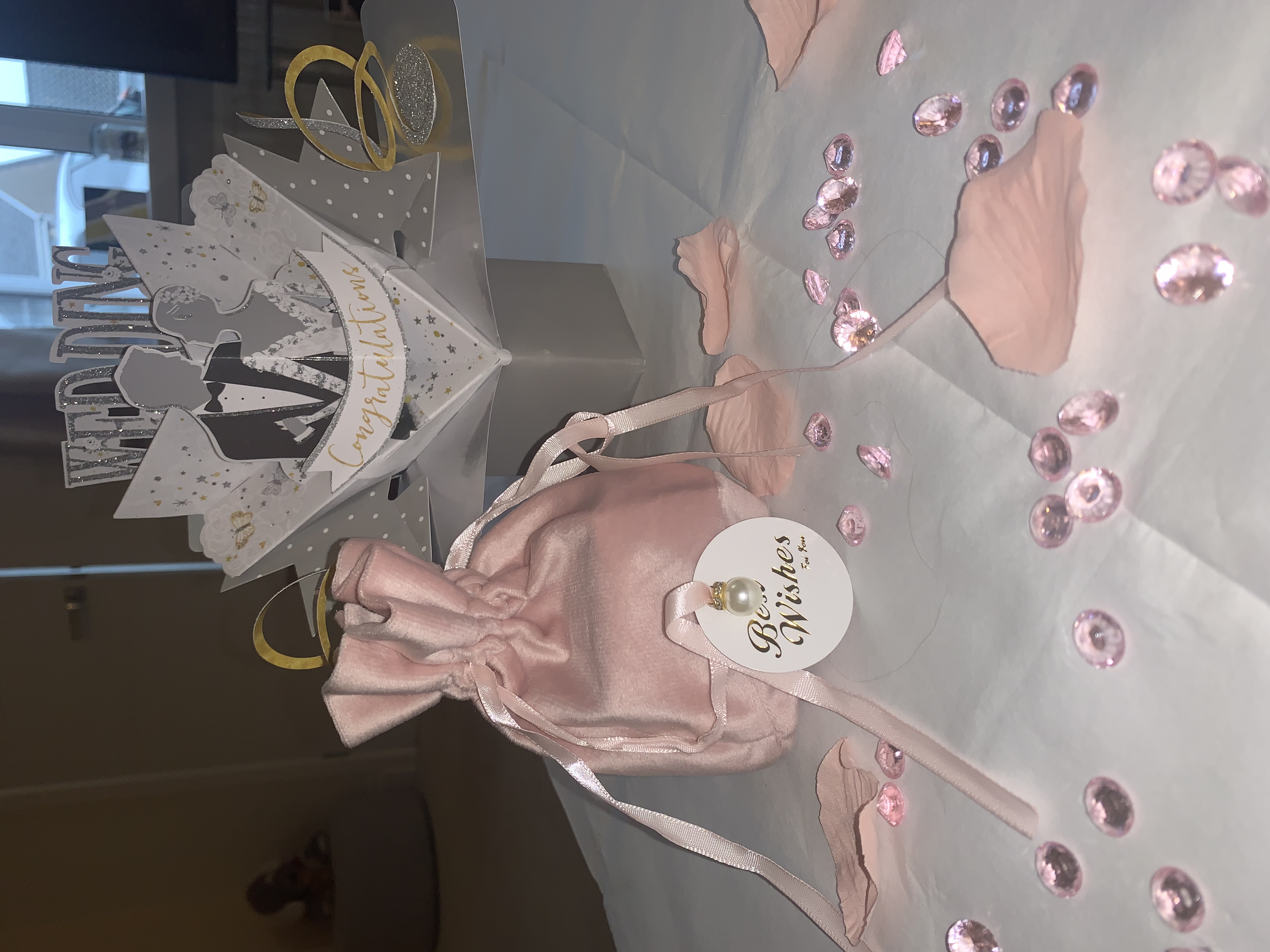 🩷Blush Pink Velvet Bag🩷