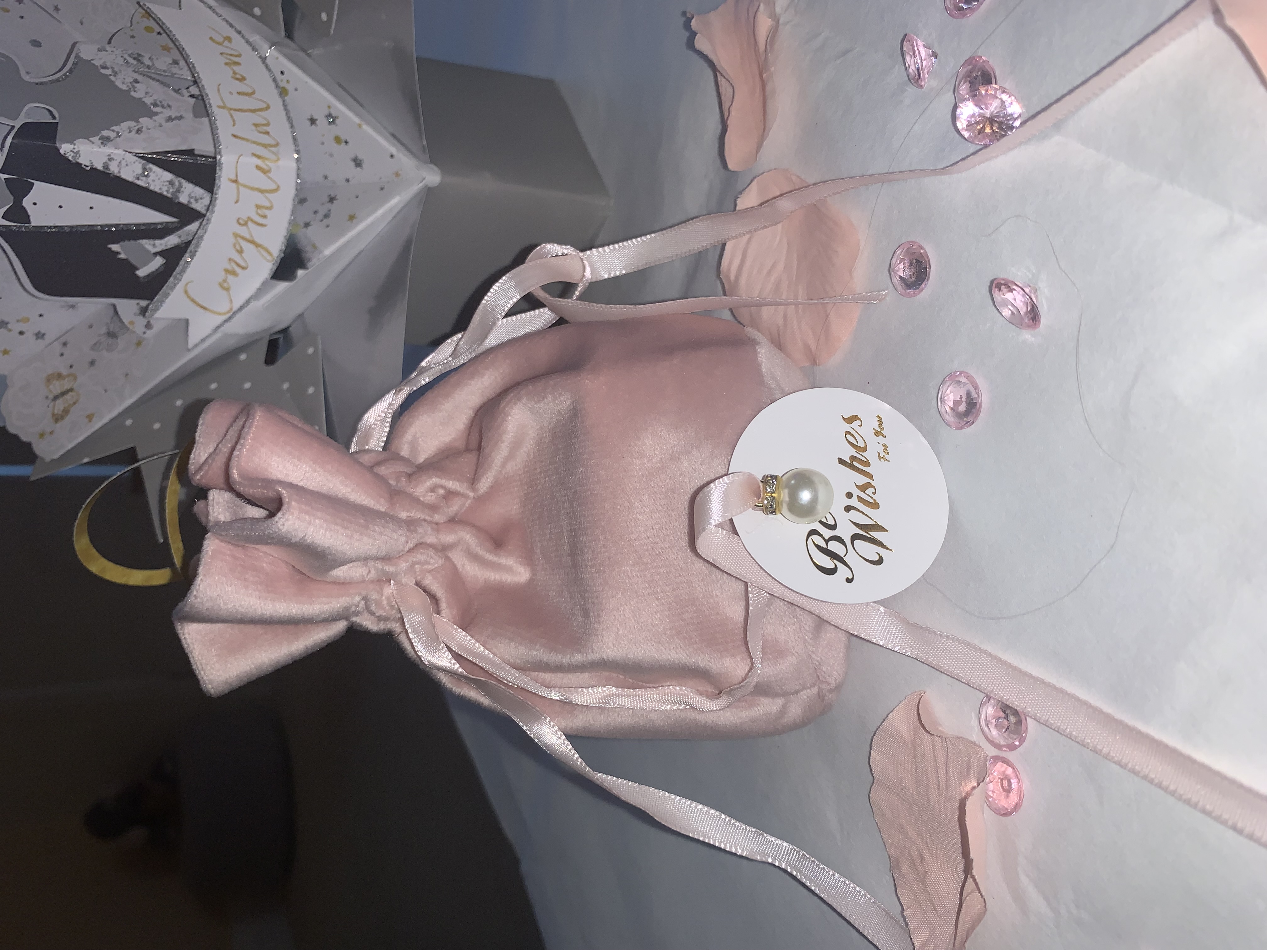 🩷Blush Pink Velvet Bag🩷