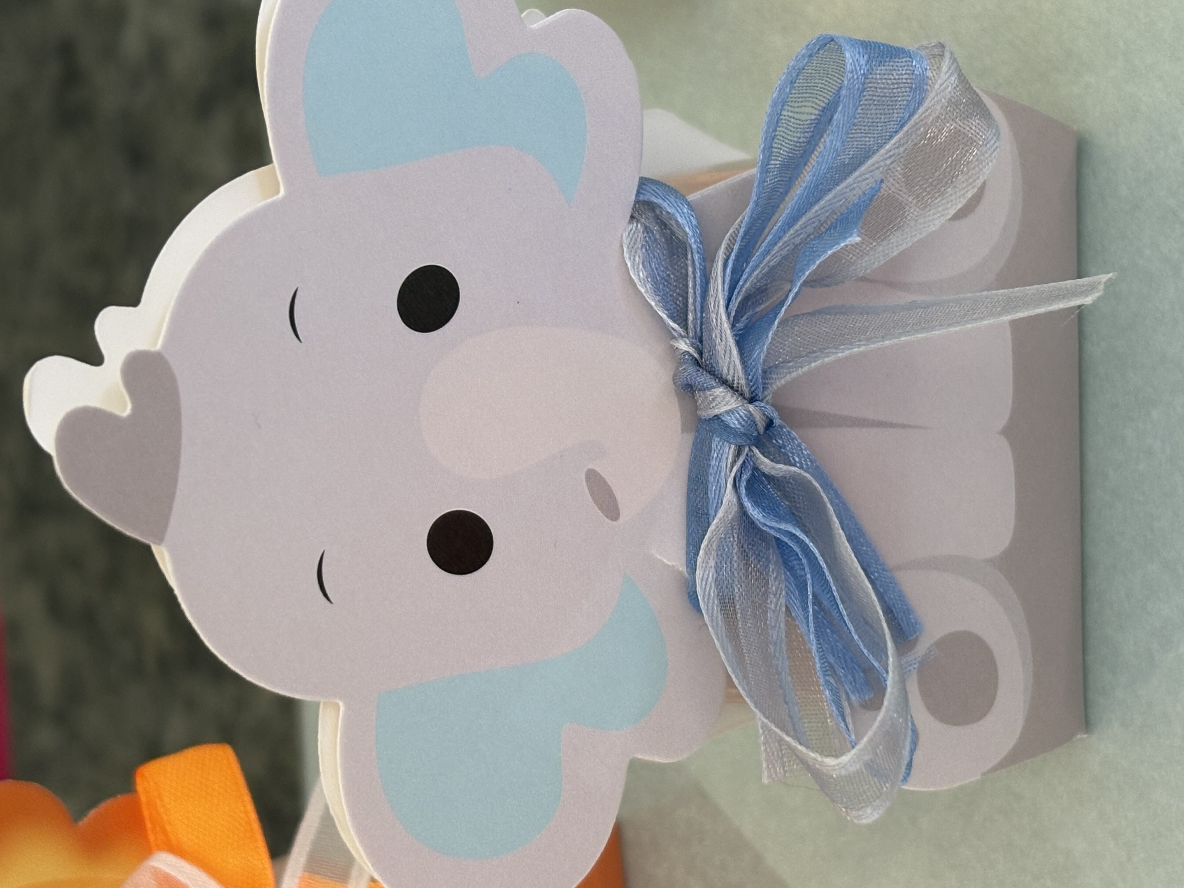 💛Animal Favour Box 💛
