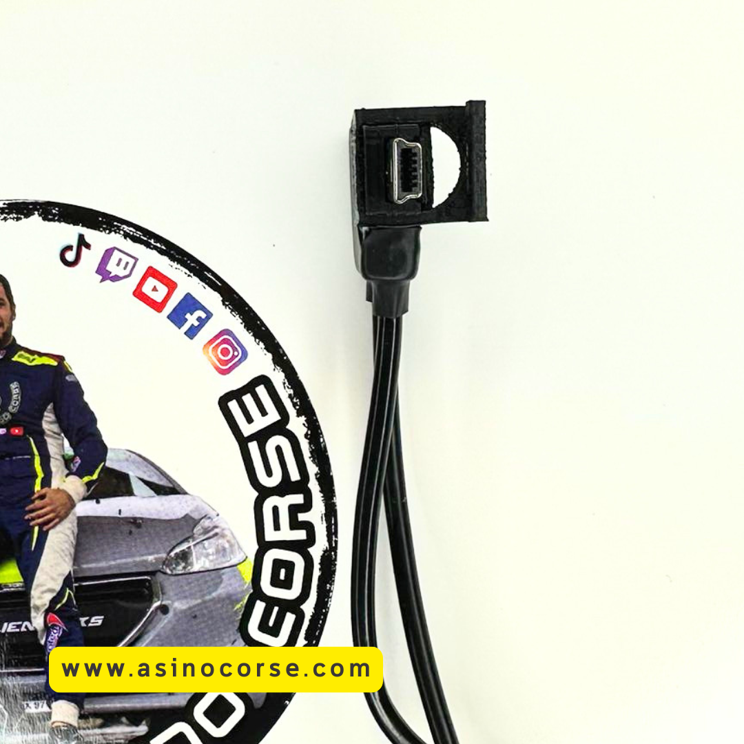 Cavetto Audio Camera Car e caricabatterie + Case