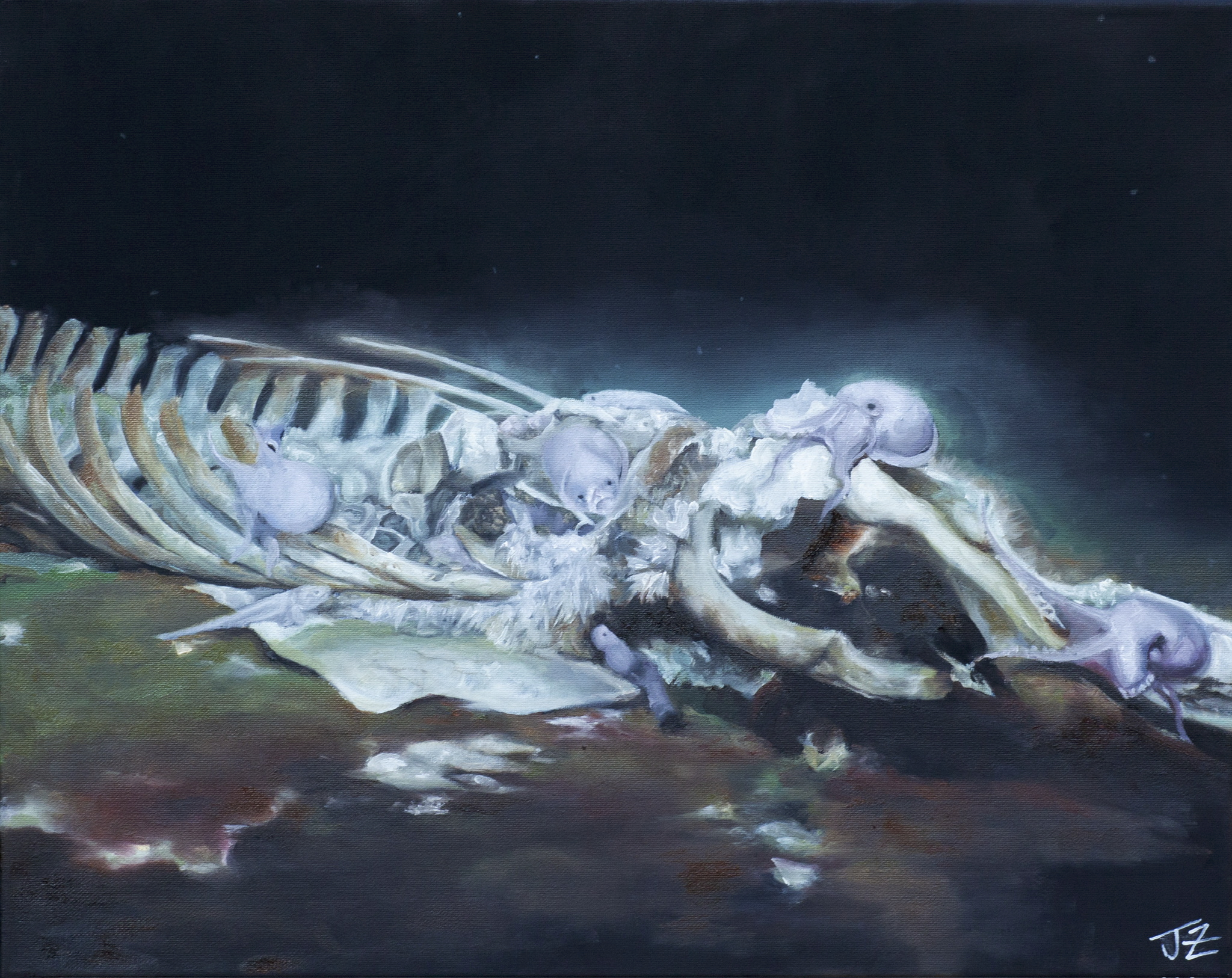 Whale Fall