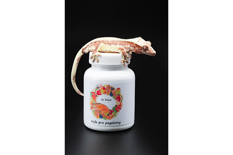 Dr. Rhaco gekonų košelės [Braškių/Bananų]