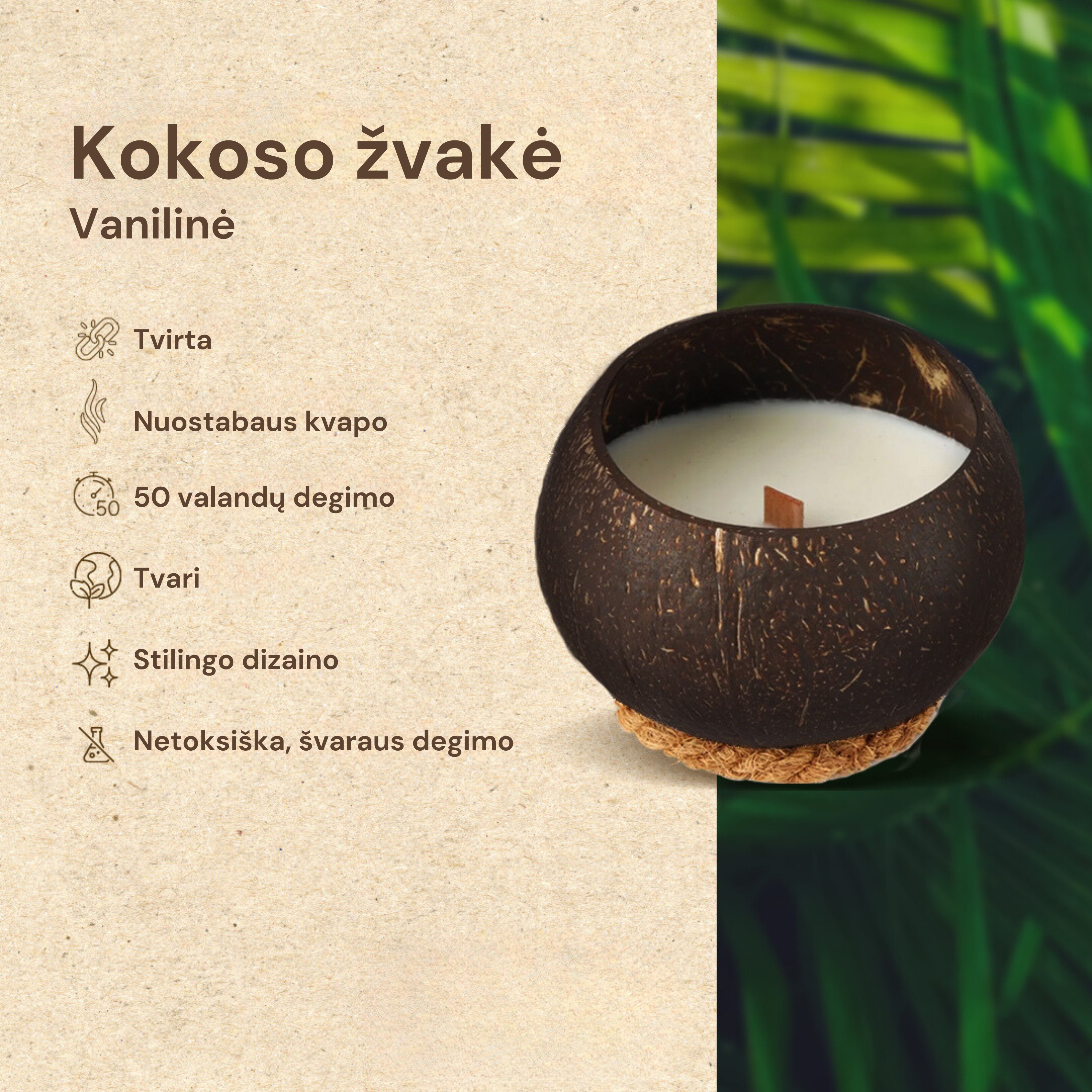 Vanilės kvapo kokoso žvakė