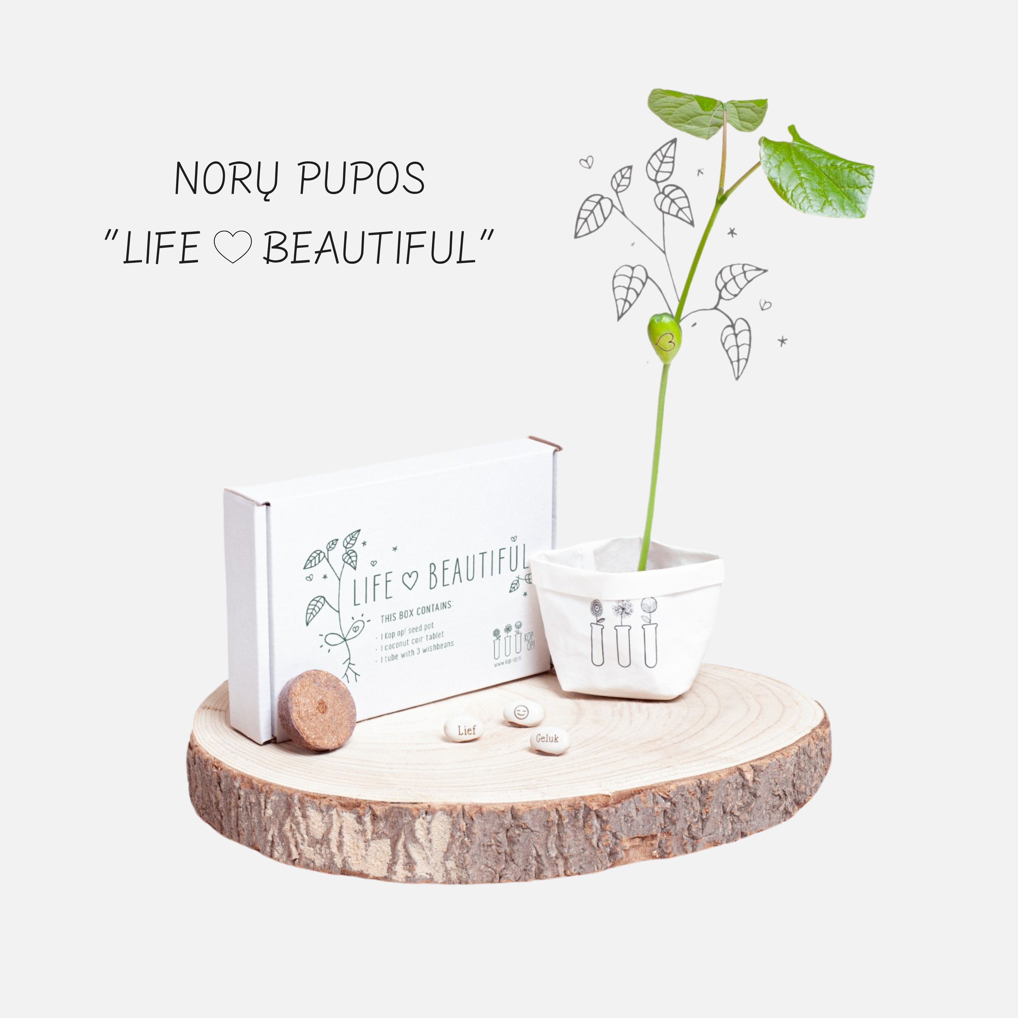 Norų pupa (Life ♥ beautiful)