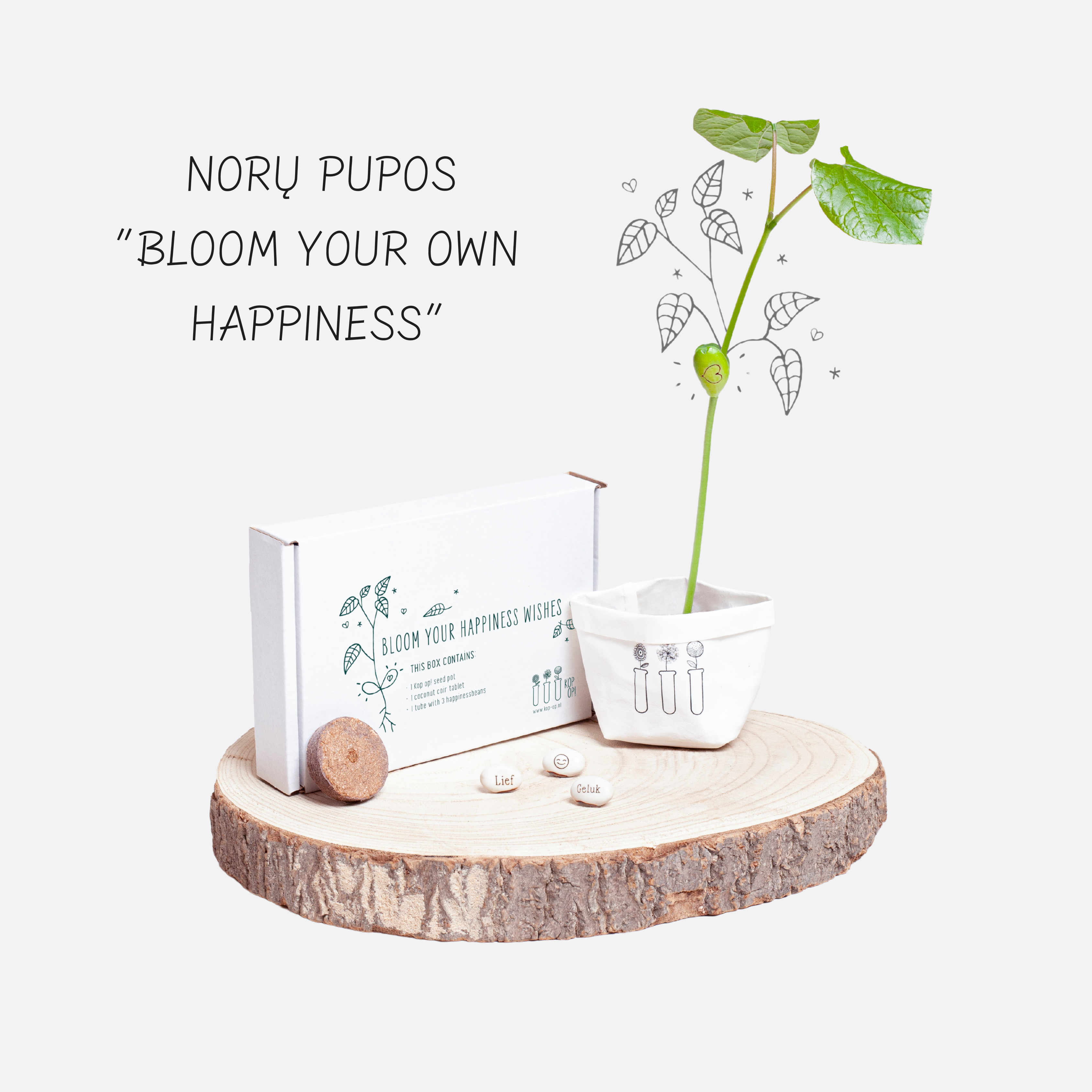 Norų pupa (Bloom your happiness wishes)