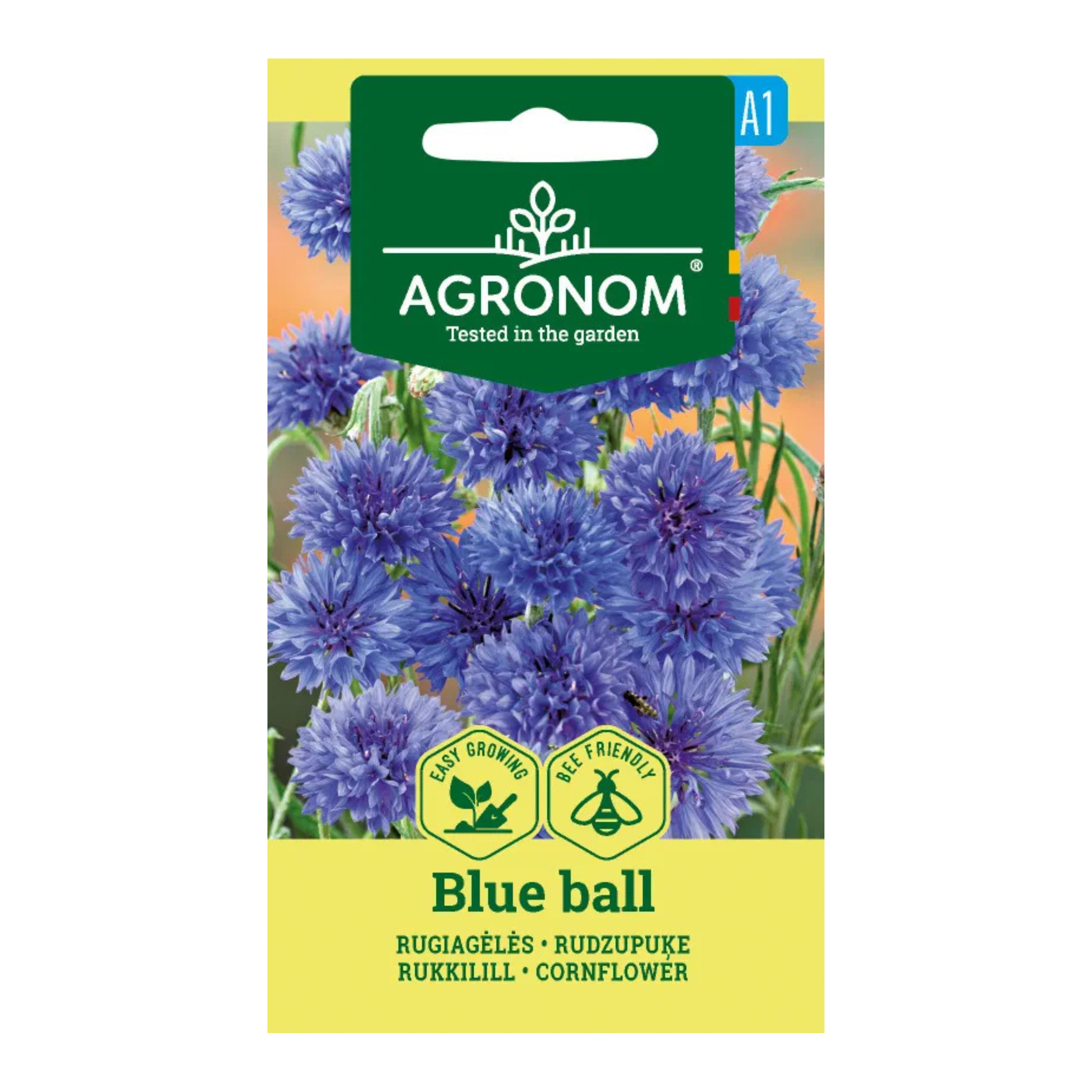 Rugiagėlės "Blue ball"