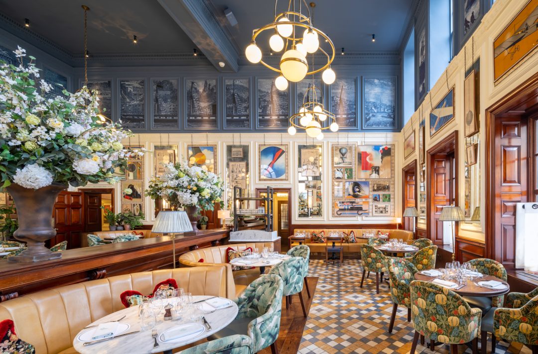 The Ivy