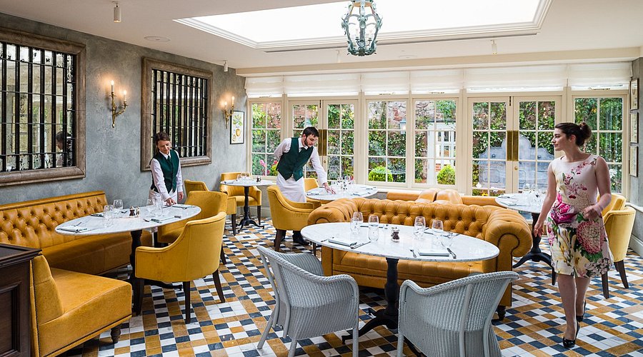 The Ivy