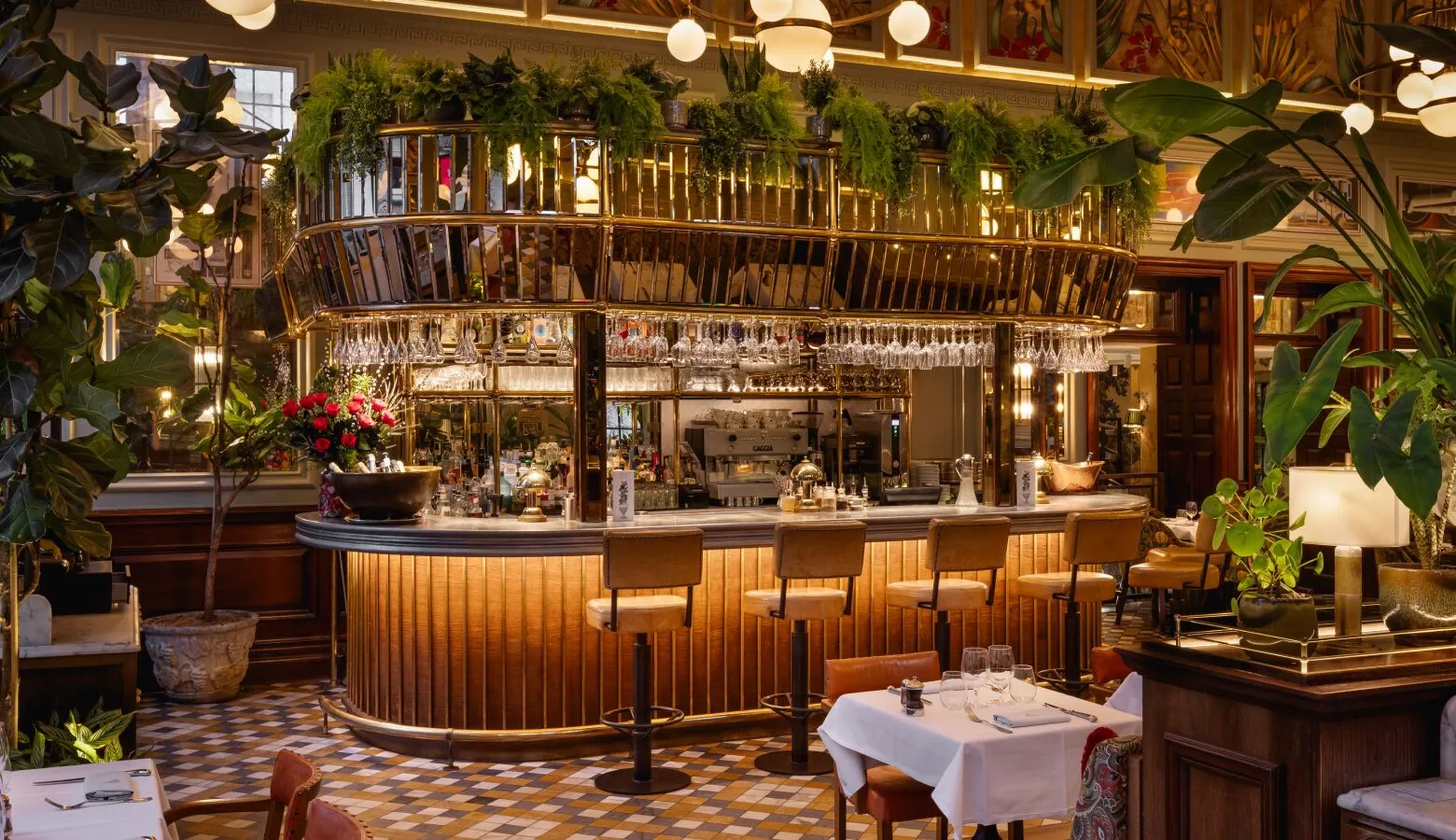 The Ivy
