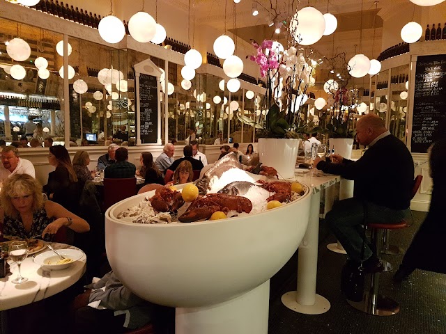 San Carlo