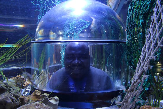 Bristol Aquarium