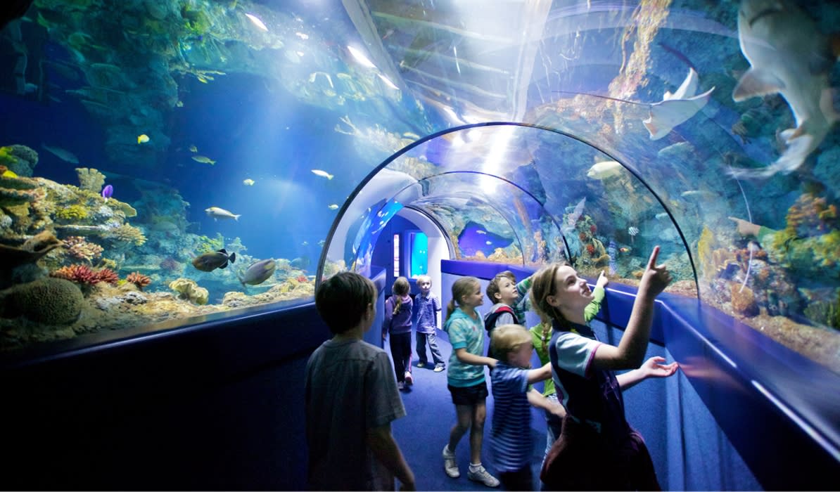 Bristol Aquarium