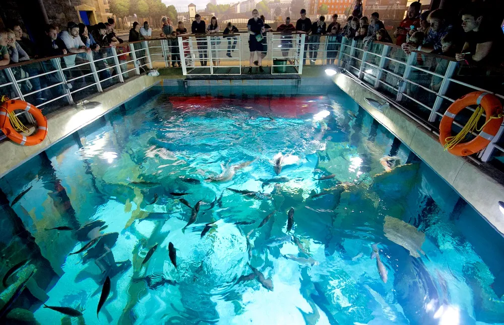 Bristol Aquarium