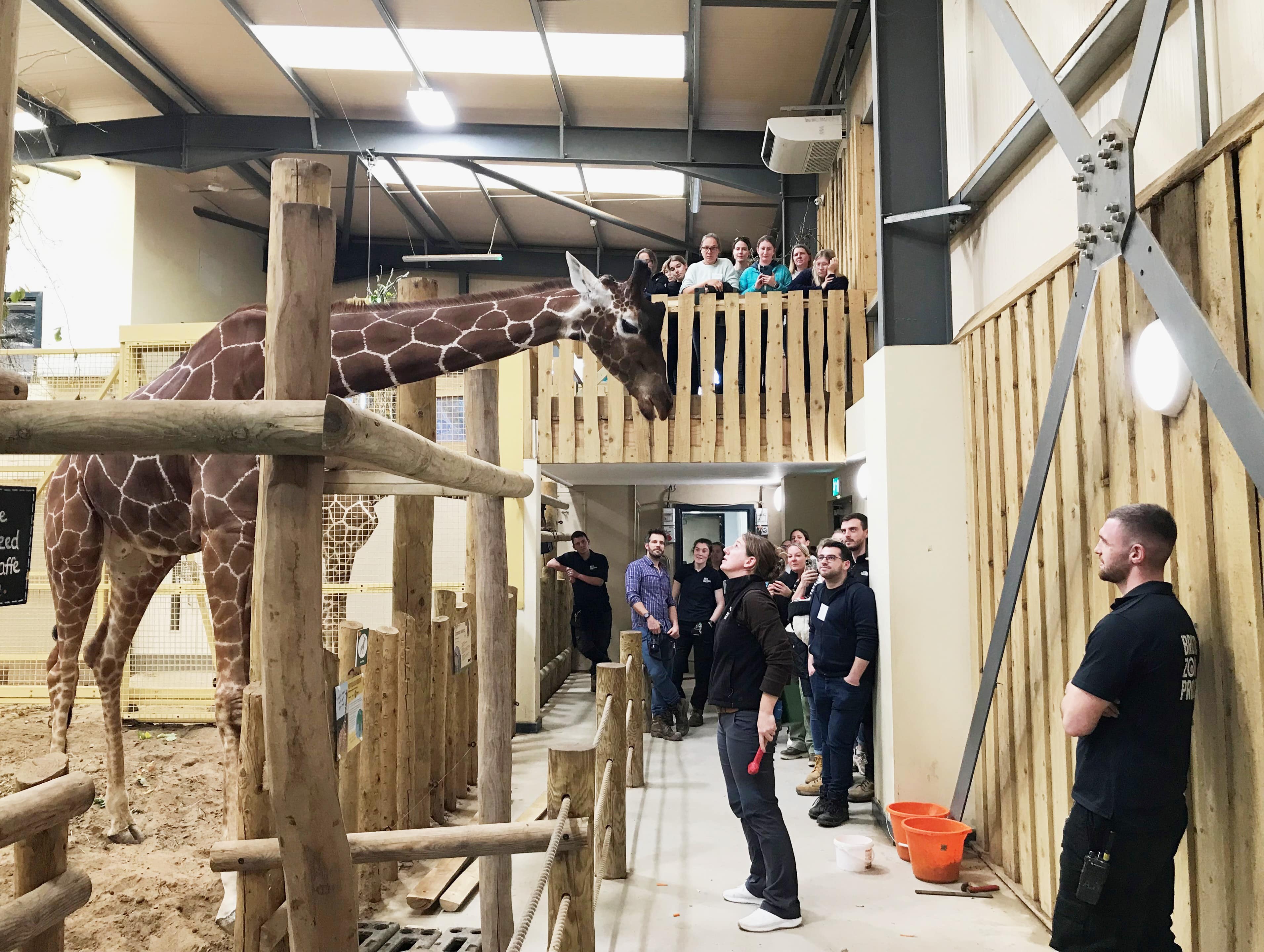 Bristol Zoo Project