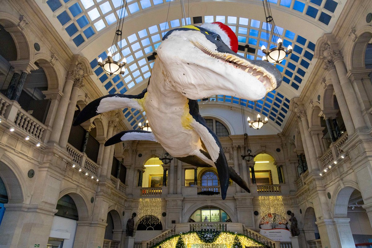 Bristol Museum & Art Gallery