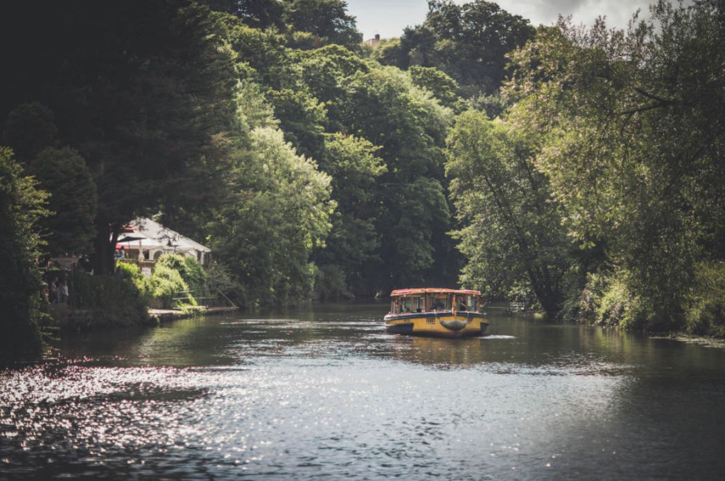 Beeses