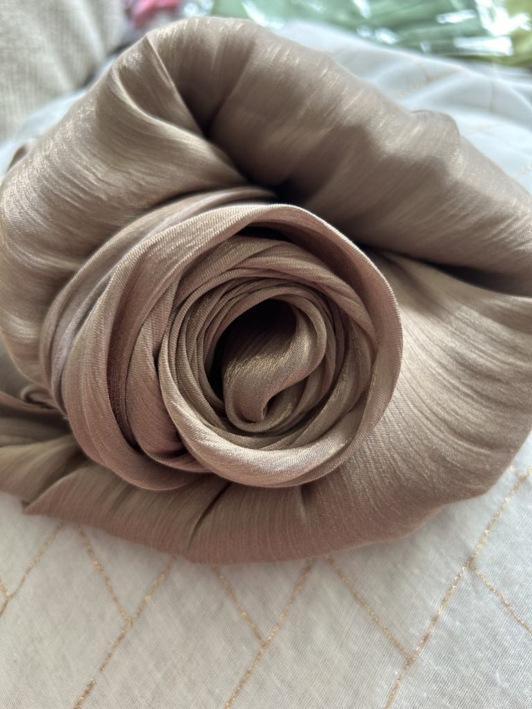 Organza Shimmer Hijab