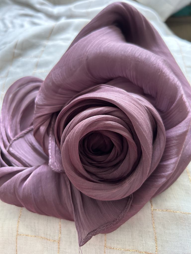 Organza Shimmer Hijab