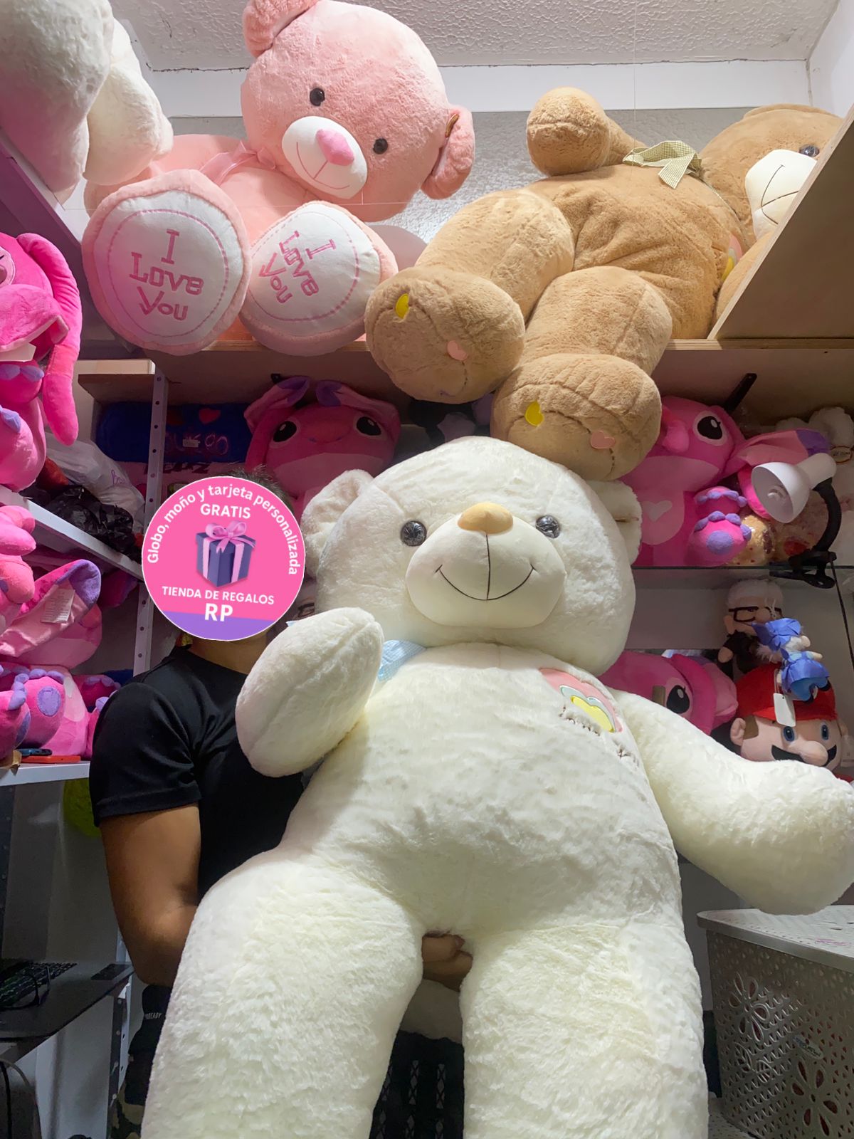 Oso Gigante villavicencio 