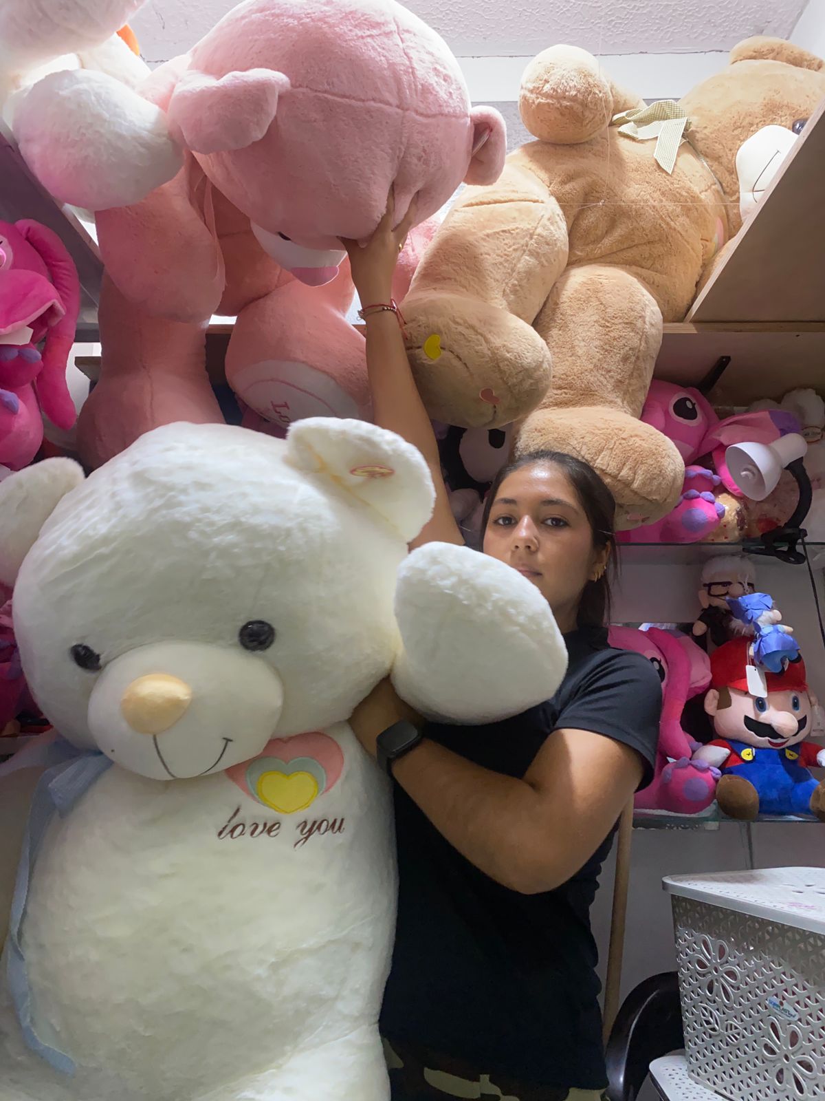 Oso Gigante villavicencio 