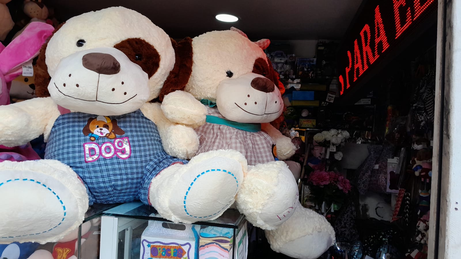 Perritos gigante 1.40 m