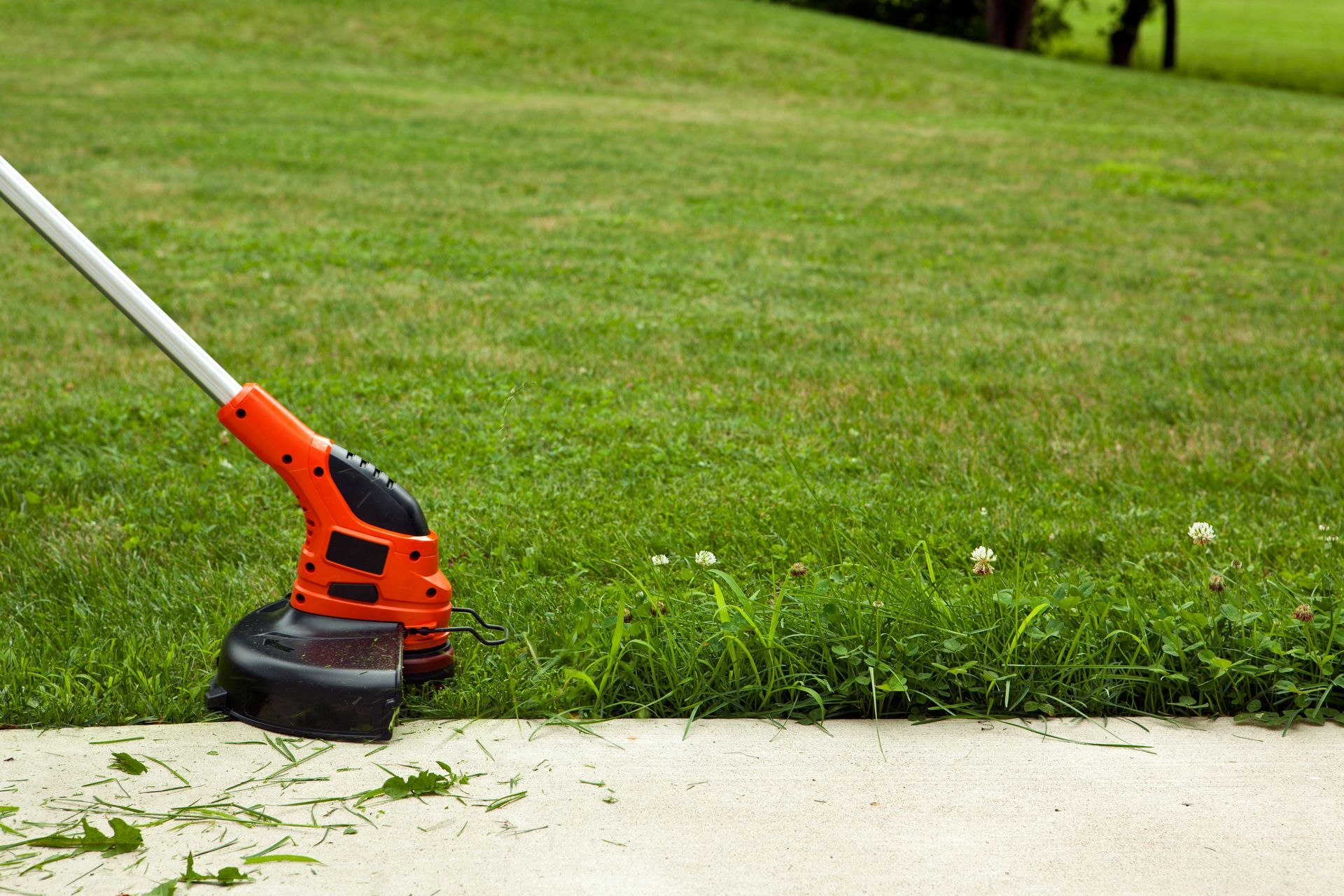 Weekly Professional Lawn Care Services 