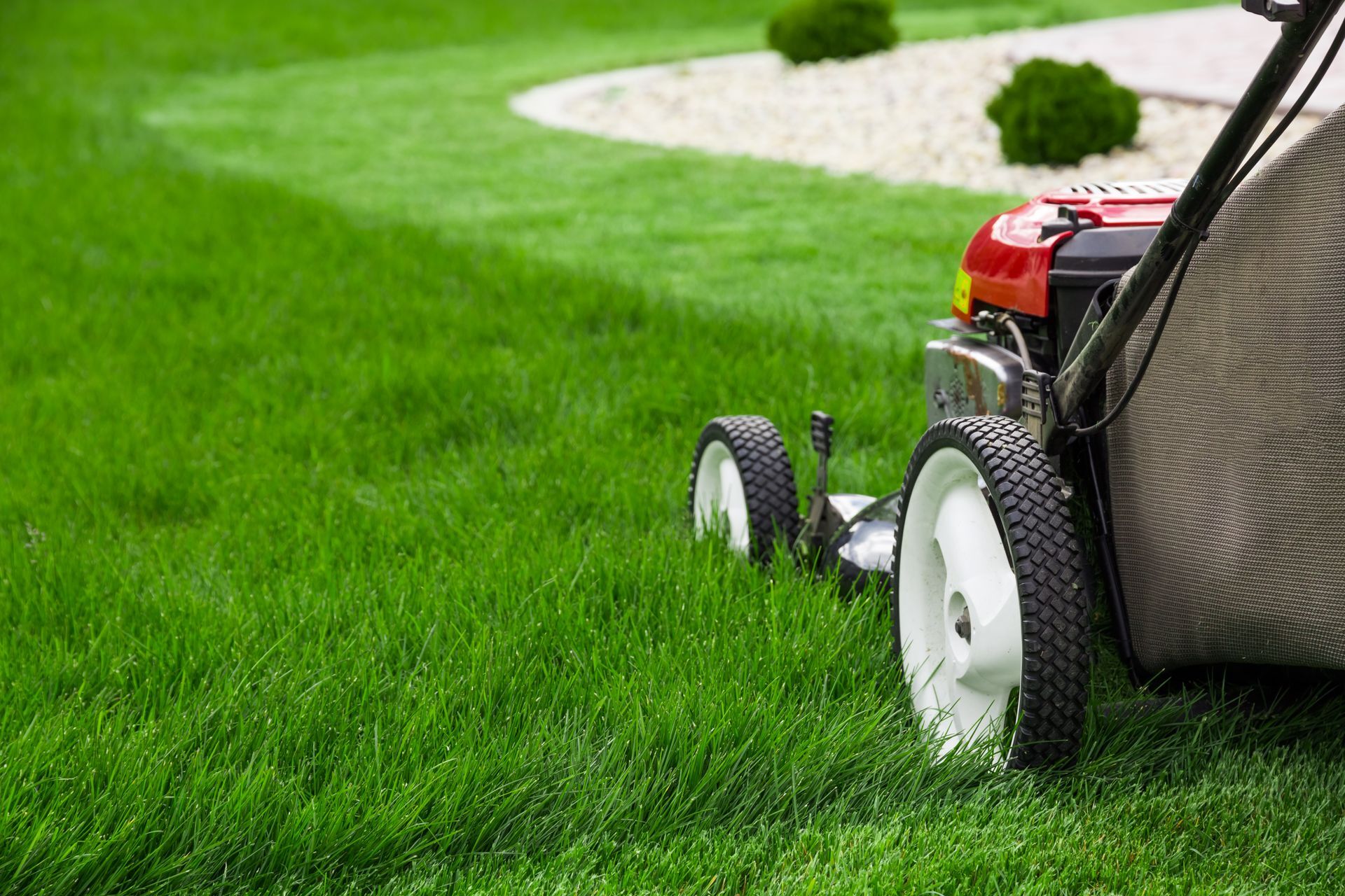 Bi-weekly Professional Lawn Care Services 