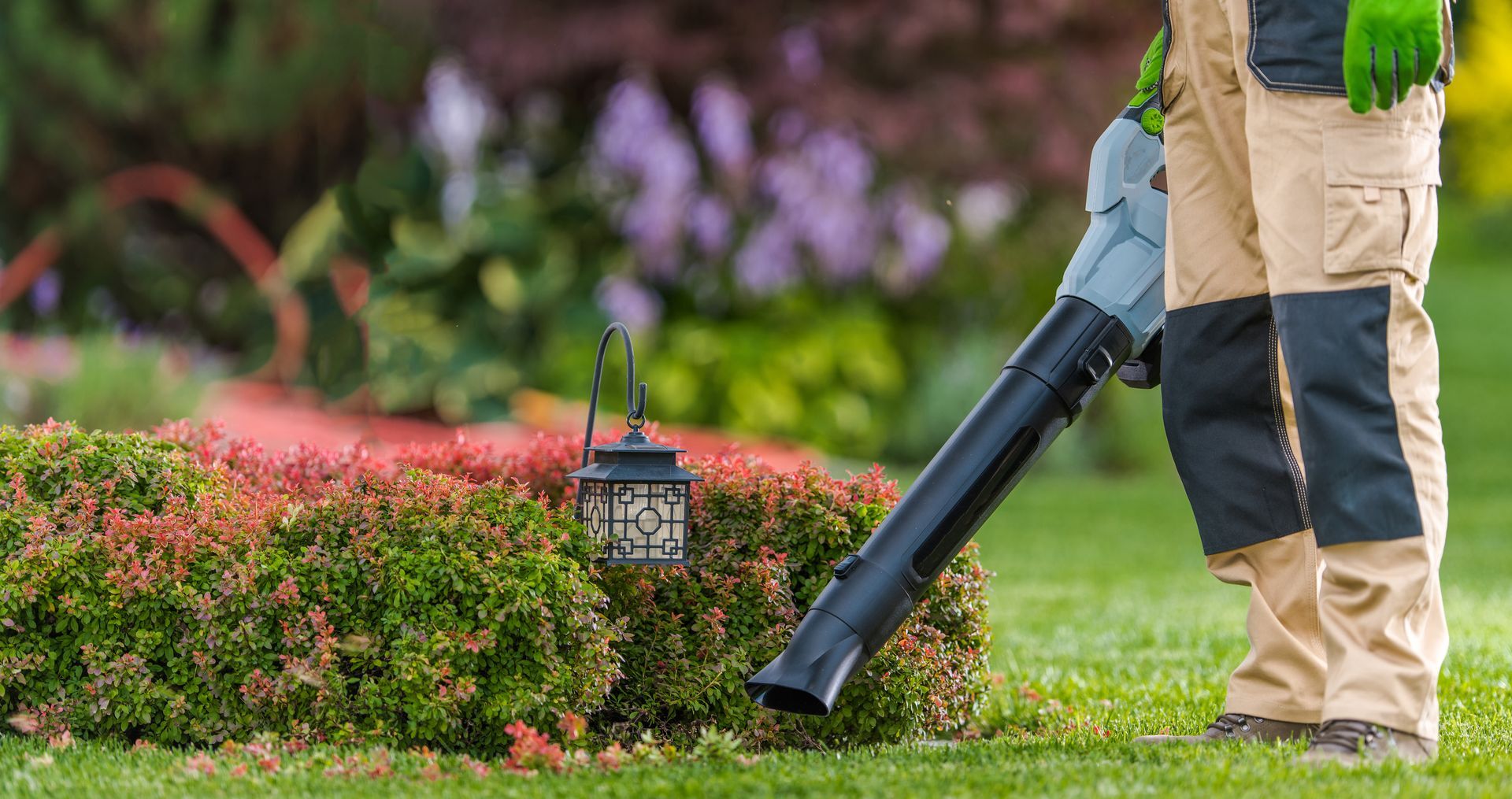Bi-weekly Professional Lawn Care Services 