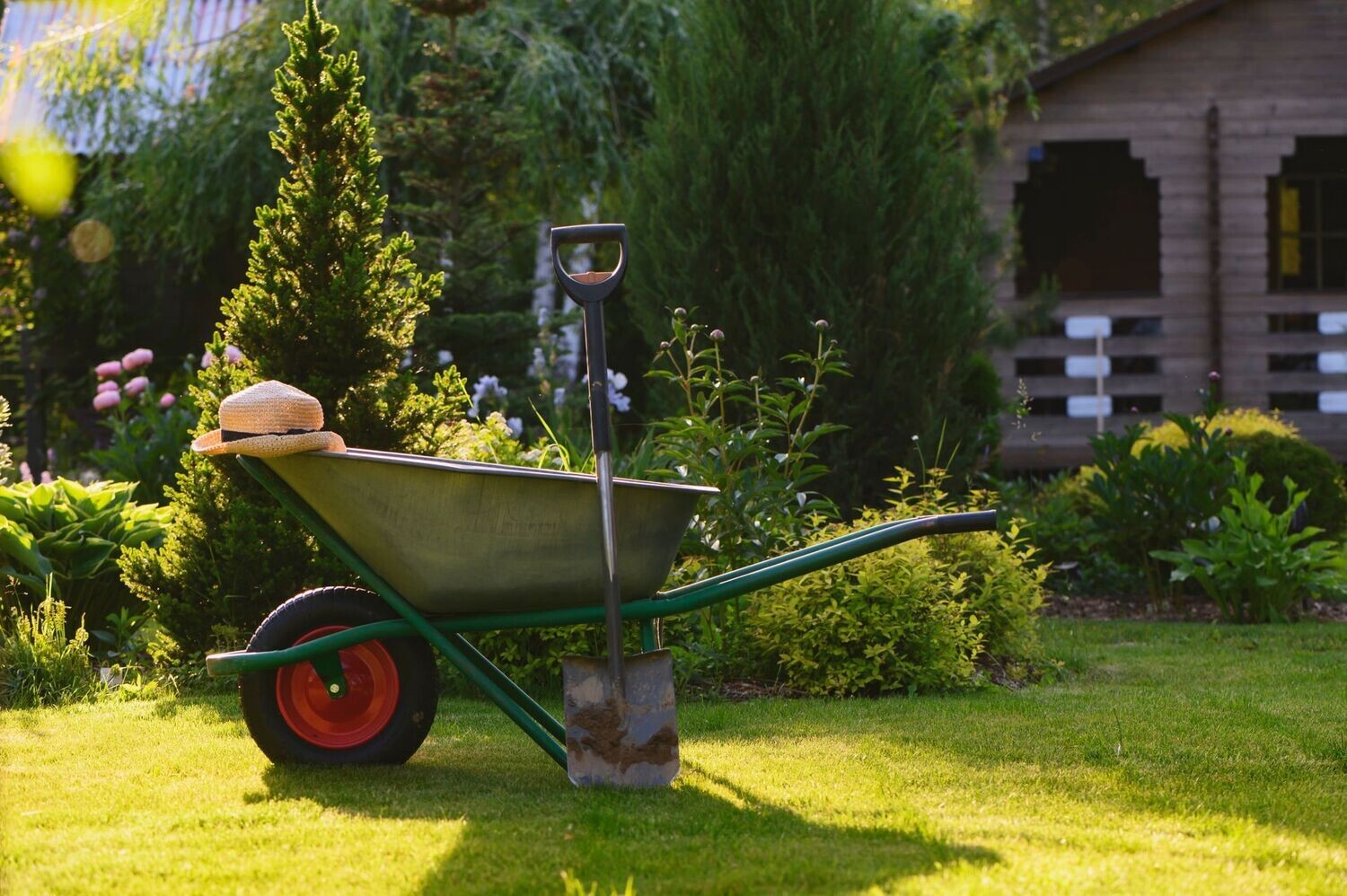 Spring Cleanup