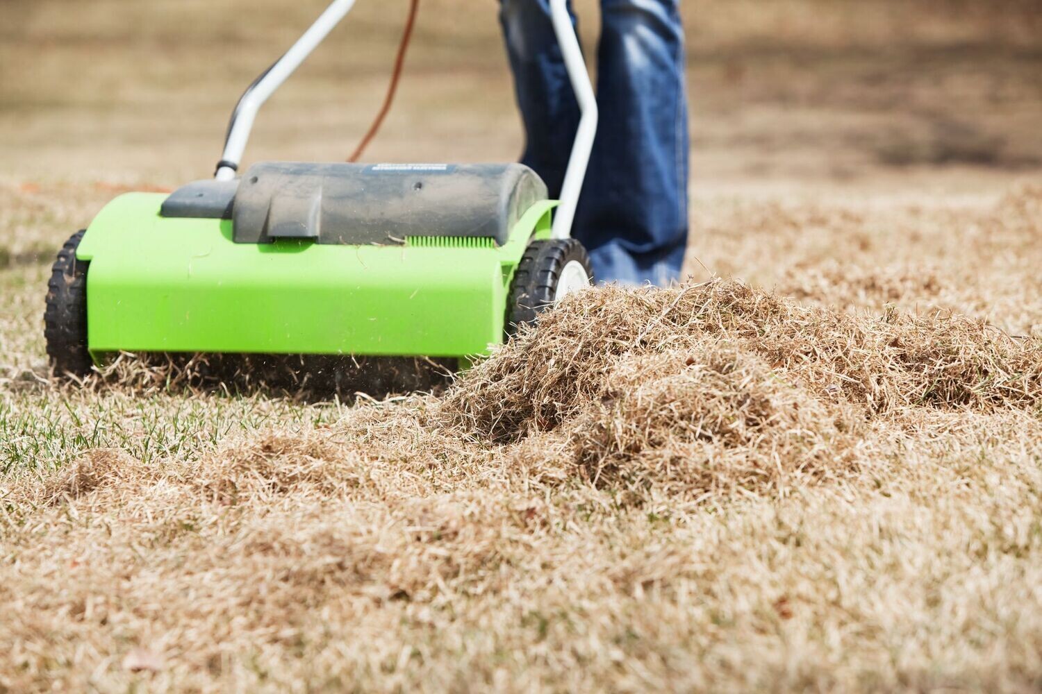 Individual Dethatching Service