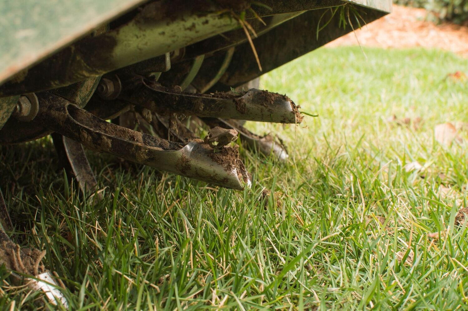 Individual Aeration Service