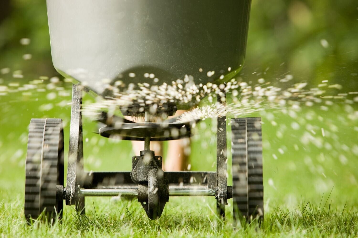 Fertilization Services