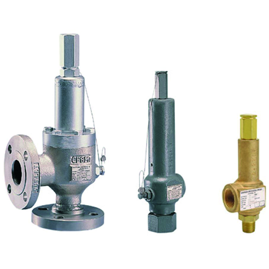 Anderson Greenwood Series 60/80 Direct Spring Operated Pressure Relief Valve