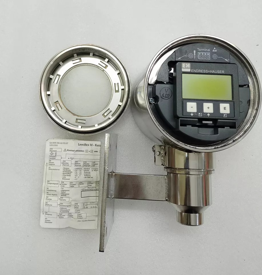 Endress Hauser LevelFlex M FMP40