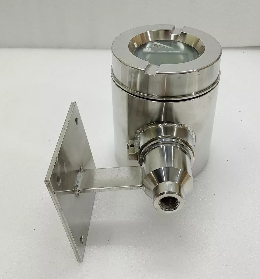 Endress Hauser LevelFlex M FMP40