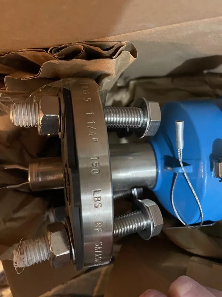 E+H Liquiphant FTL51B Level Switch | Endress+Hauser 2JN18/0