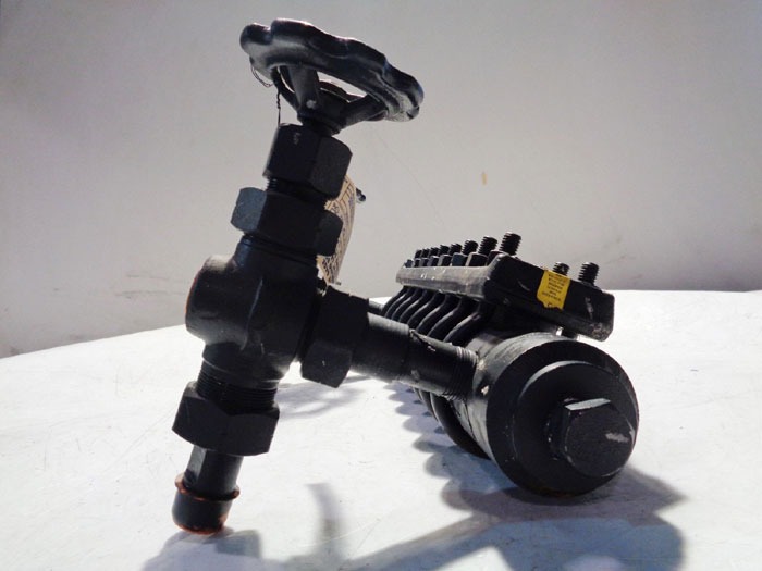 Daniel Sight Glass (Level Measurement)