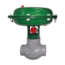 Fisher D2 FloPro Control Valve