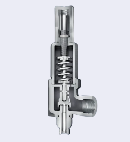 LESER Compact Performance Safety Valves