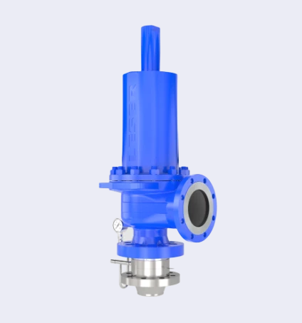 LESER Best Availability - Bursting Disc with Safety Valve Combination
