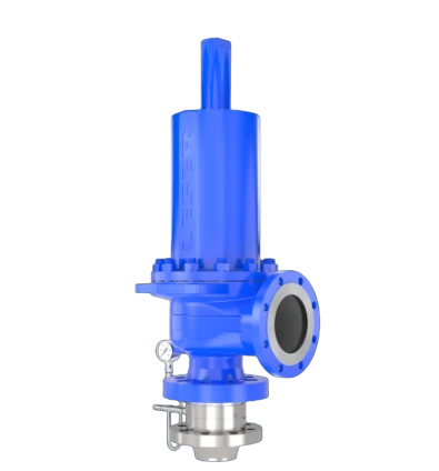 LESER Best Availability - Bursting Disc with Safety Valve Combination