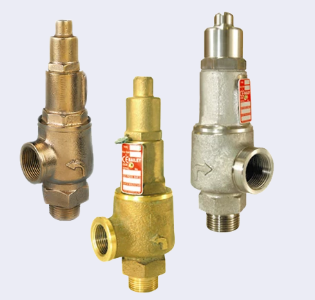 Kunkle Valve Bailey Series 480/485/490