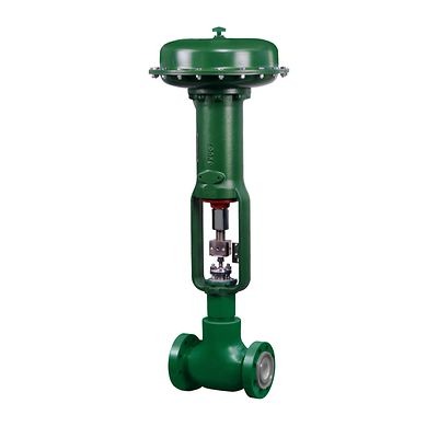 Fisher D Control Valve